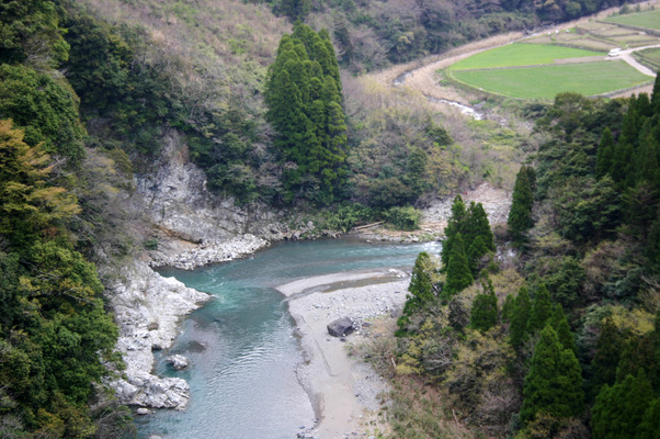 鸫/Ƥǡ١