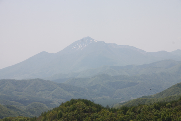 ФΡʥ饤׹椫į/Ƥǡ١