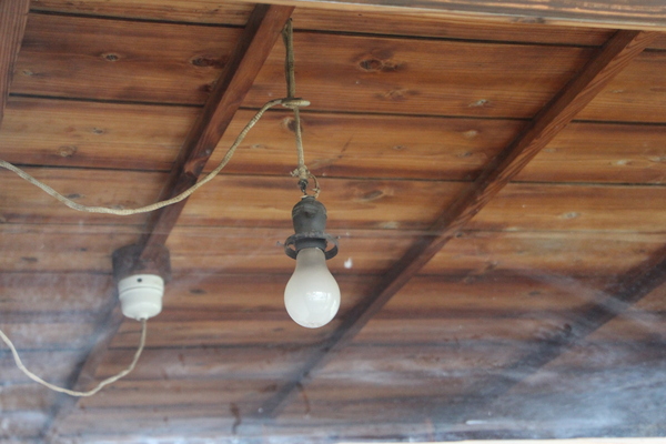 ʰδΤΡǡƲŵ/Ƥǡ١