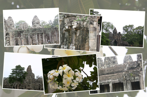 ���󥳡��롦�ȥ�ΥХ����������Ʋ�ȼ��ա�/�����Ƥ������ǡ����١���