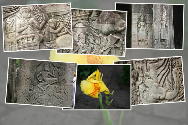 �Х��������Ρ�����Ħ���/�����Ƥ������ǡ����١���