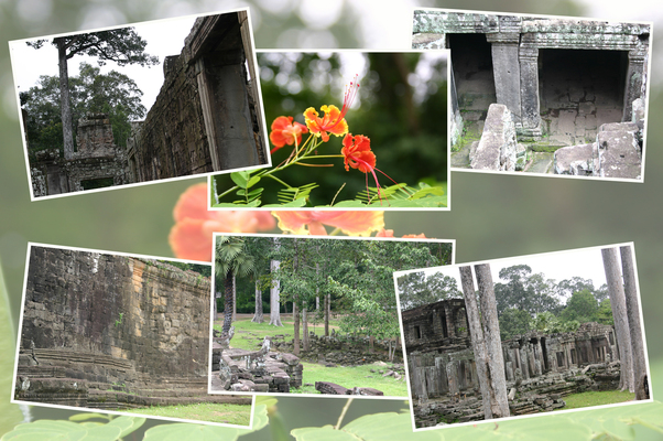 �Х��������֤���¾�����ҡ�/�����Ƥ������ǡ����١���