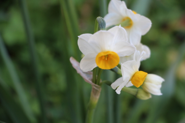 �Ϲ�����᤯�Ρ֥��������/�����Ƥ������ǡ����١���