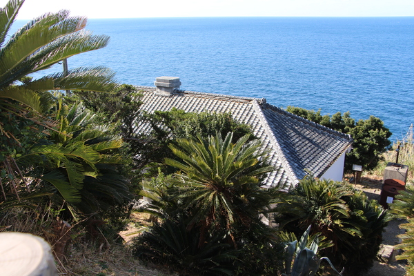 �˲�������ֵ�ǰ�ۤ���Ŵ��/�����Ƥ������ǡ����١���