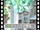 ������ҤΡ֤����ڡ�