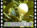 ��������ܥ����