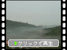 ���Ӥι⸶��ī̸�����ν�