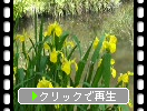 �ϥʥ��祦��