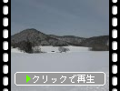 ƻ���������ı�