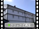 β¤򼿶ηʪ