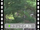 դλƻг