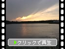 ͼΡֳƻ͸