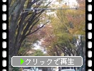 ʡ���λԳ��ϡ��ս��Υ��䥭���ڡ�
