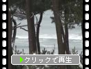 �ߤ�ǽ��Ⱦ�������..