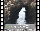 �ߤ�ǽ��Ⱦ�硦ǽ��..