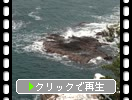 �ߤ�ǽ��Ⱦ�硦ǽ��..