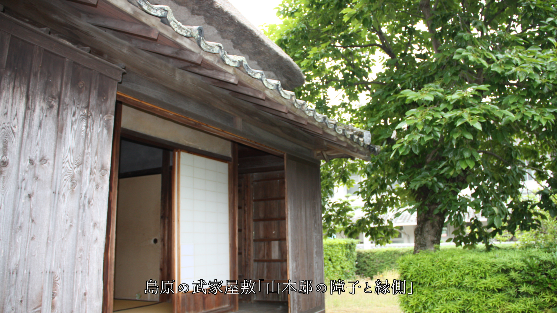 ���Ϥ���Ȳ��ߡ��������ڤ˺����������ʤ���ɺ������äƤ���