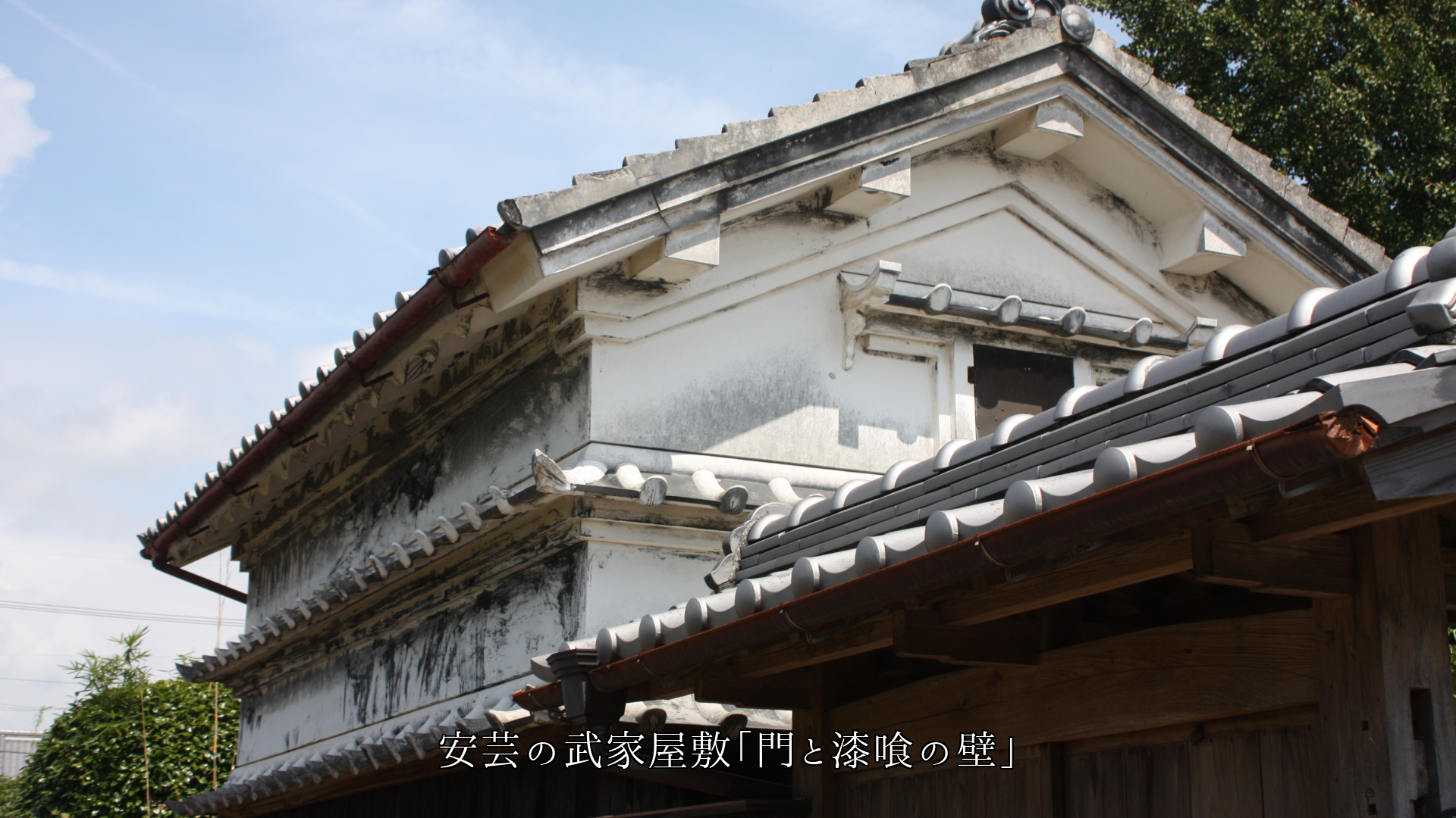 ���Ϥ���Ȳ��ߡ��������ڤ˺����������ʤ���ɺ������äƤ���