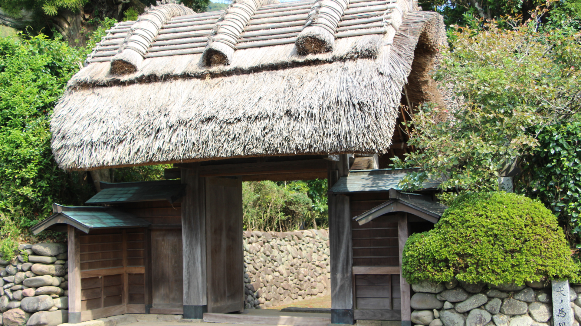 ���Ϥ���Ȳ��ߡ��������ڤ˺����������ʤ���ɺ������äƤ���