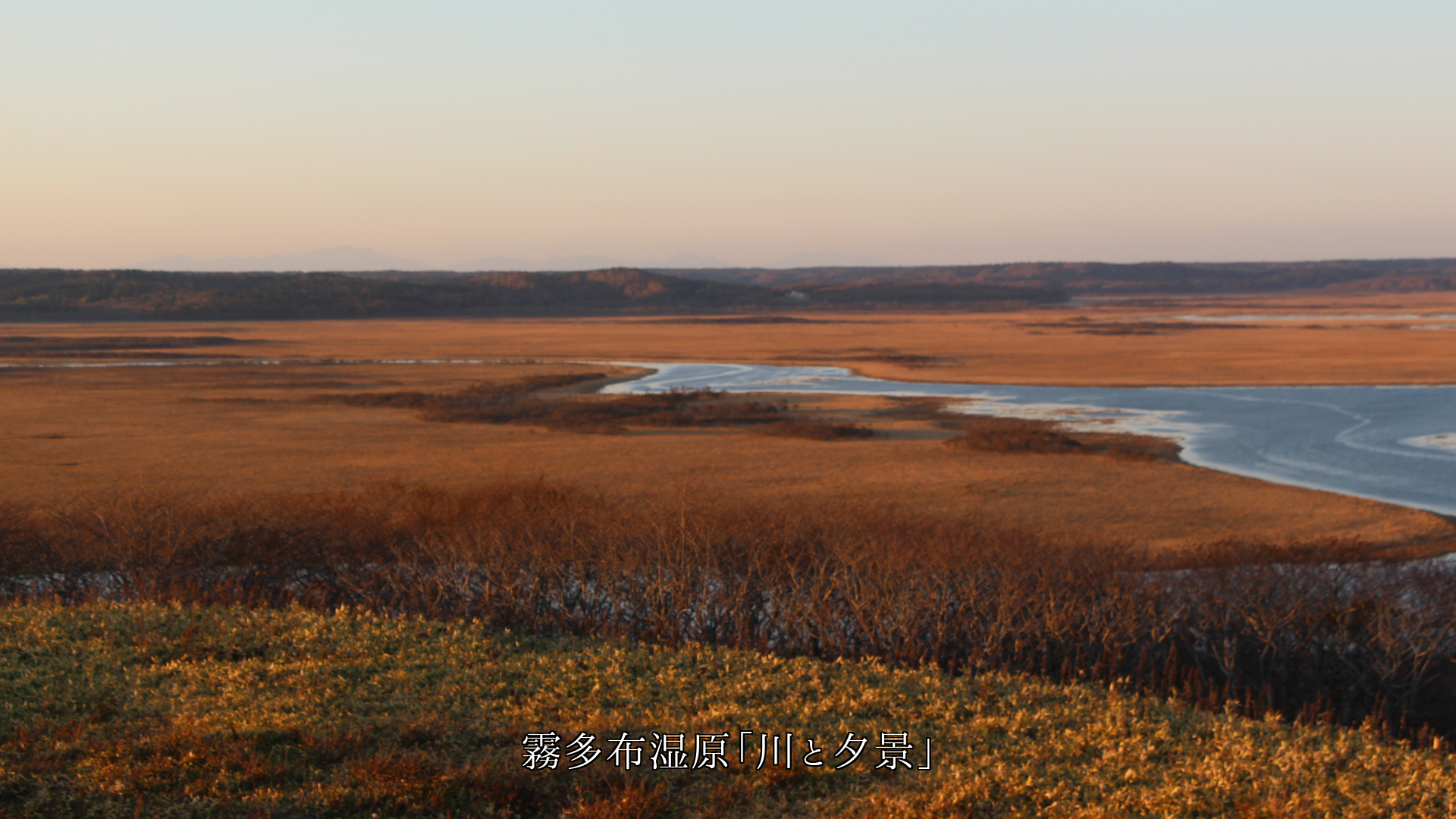 ������ͼ�ʤ�ͼ�Ƥ���������ī���ˤĤʤ��ꡡ�ɤ�ŷ���ˤʤ�ޤ��褦�ˡ�