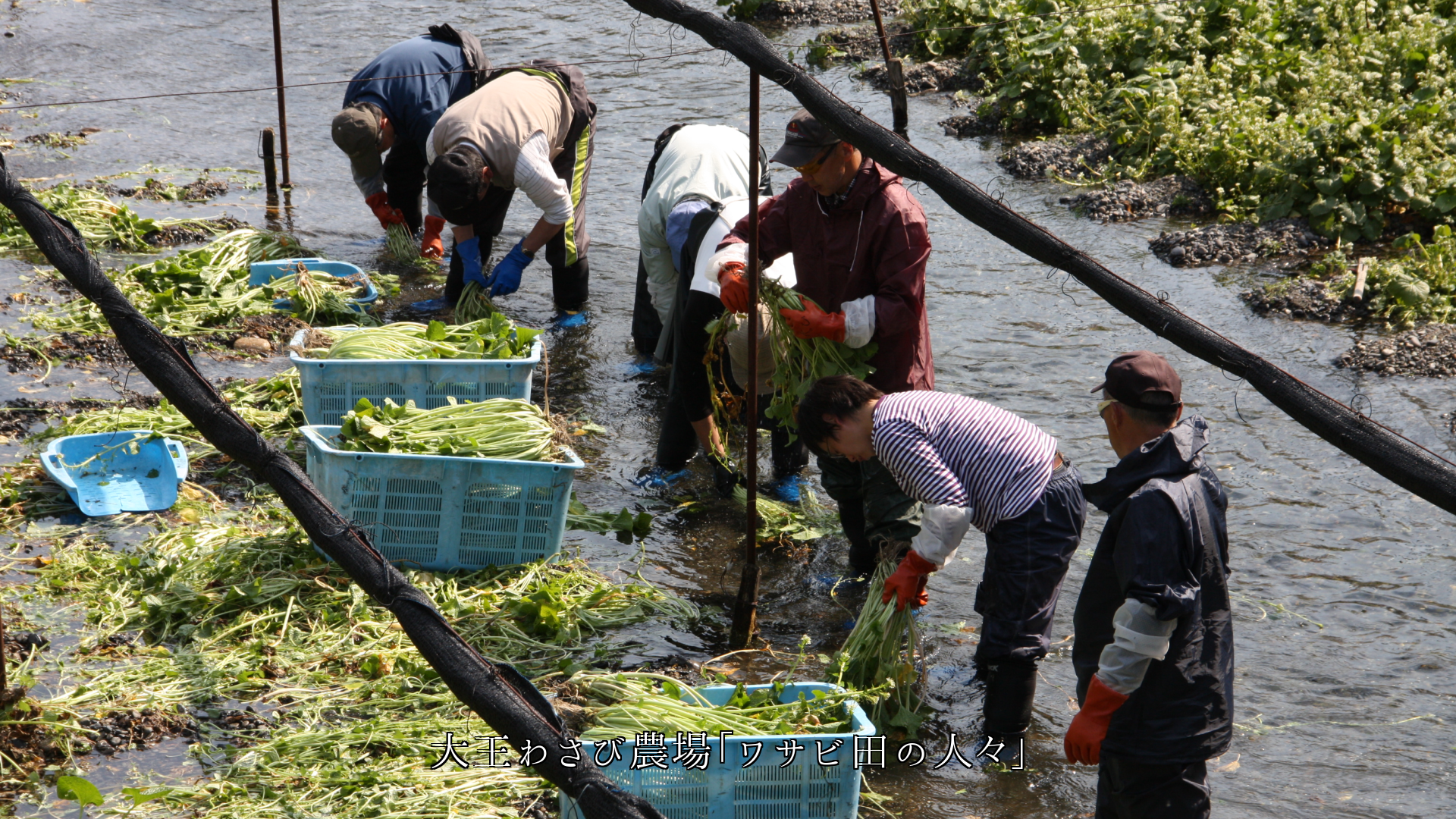 それぞれの場所で 懸命に働く人々 その姿に 心を打たれます