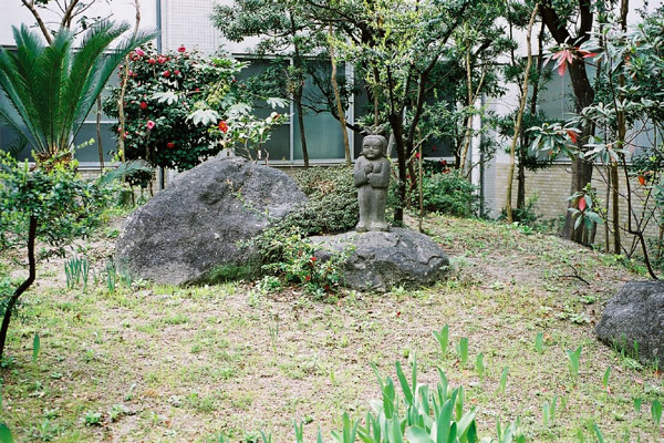 ����¢����/�����Ƥ������ǡ����١���