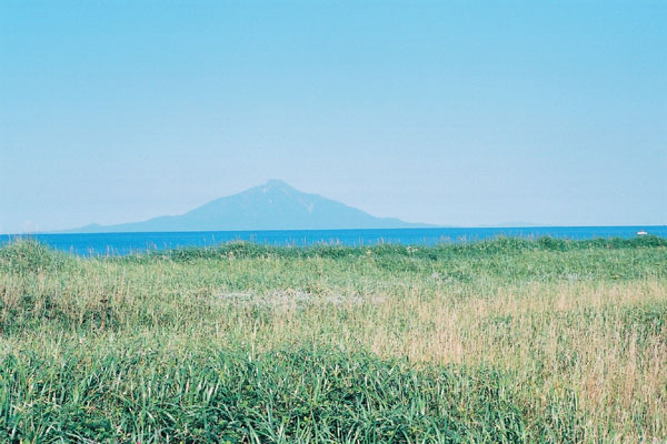 夏の草原と利尻富士