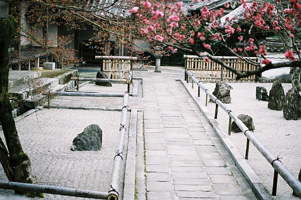 光明禅寺の石庭と道