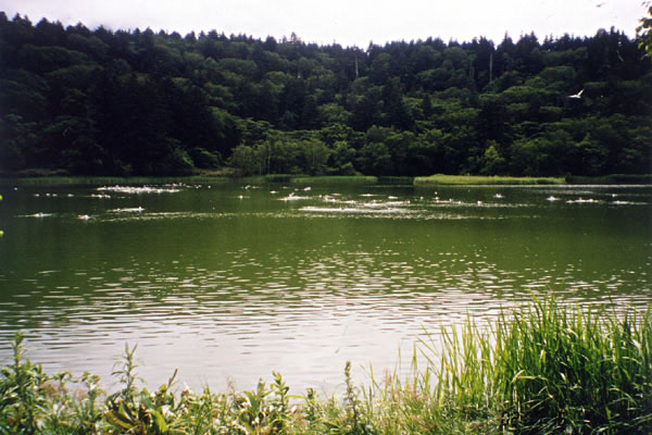 利尻島の姫沼