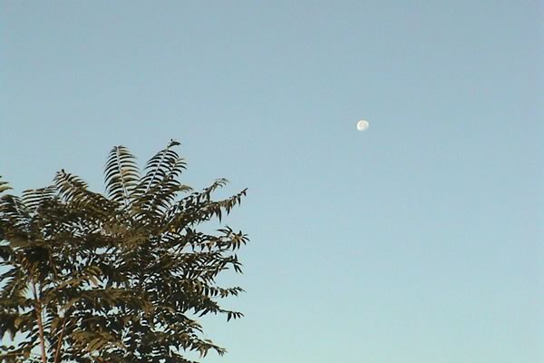 西域トルファンの月/癒し憩い画像データベース