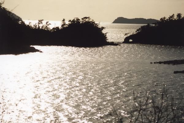 笠戸島の西日