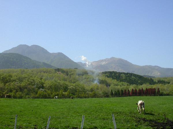 牧場から見たくじゅう連山の湯煙/癒し憩い画像データベース