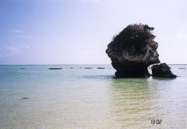 砂浜の岩礁