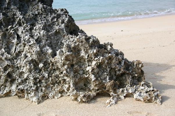 与論島を形作る珊瑚の岩とサンゴの砂浜 癒し憩い画像データベース 247