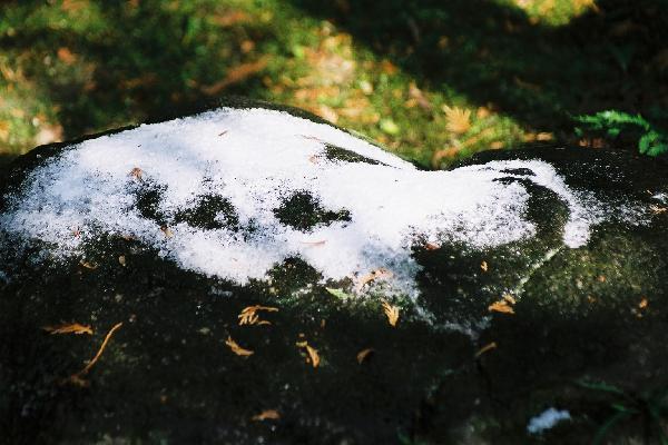 冬の弱い陽を受ける庭石の雪