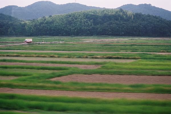 流れる初夏の田園風景 癒し憩い画像データベース 315