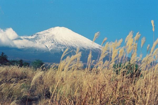 富士山麓に広がるススキの原野 癒し憩い画像データベース