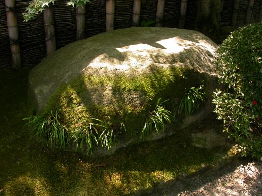 陽を受ける庭の石