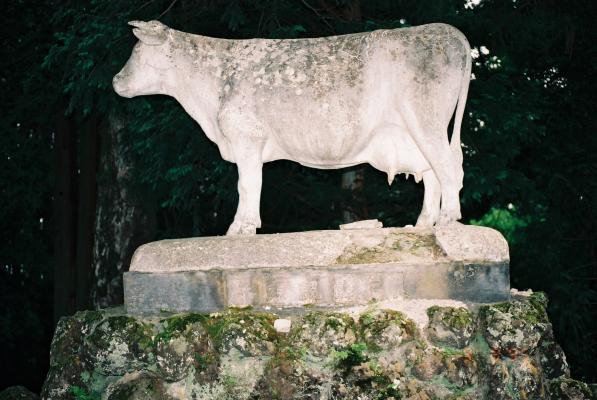 真楽寺の牛像