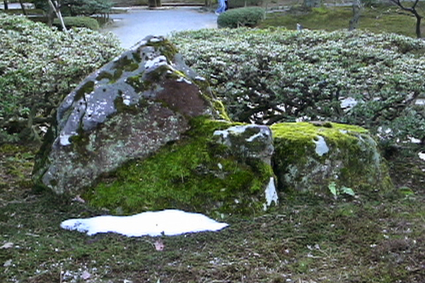 庭園内の苔むす岩と残雪