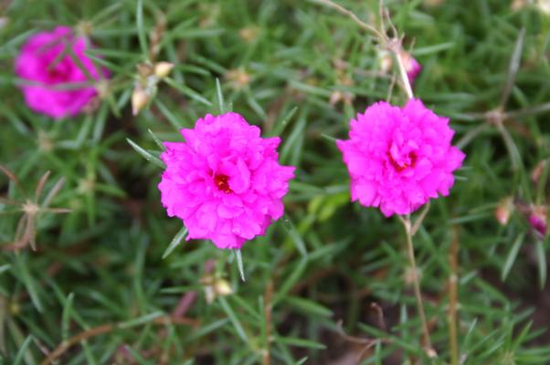 ����ܥ����֥��󥳡�����פ������/�����Ƥ������ǡ����١���