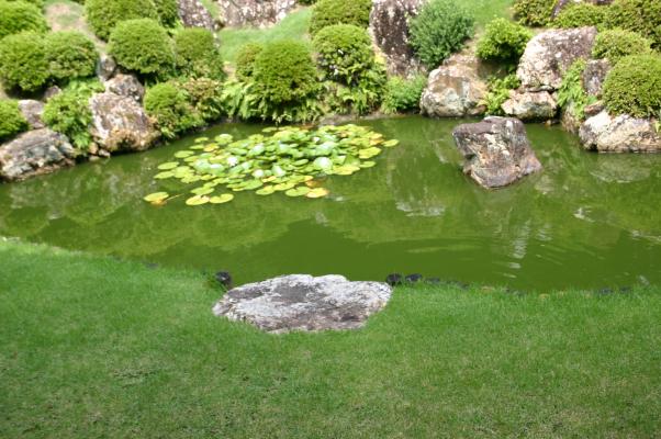 龍潭寺の地泉鑑賞式庭園と礼拝石