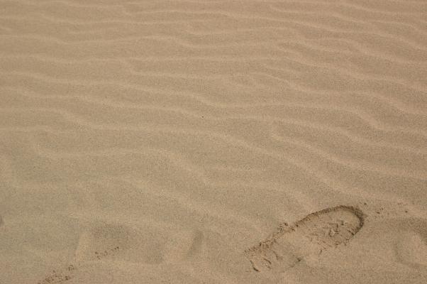 鳥取砂丘、砂の風紋とくつ跡