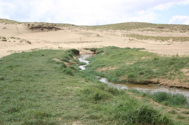 鳥取砂丘のくぼ地に流れる小川と周りの緑地
