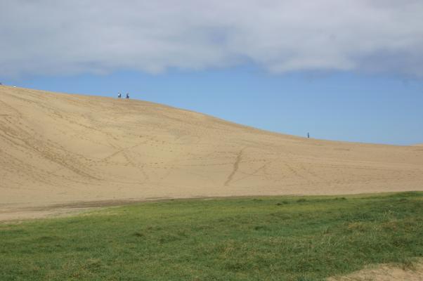 鳥取砂丘が織り成す青い空、白い砂丘、くぼ地の緑