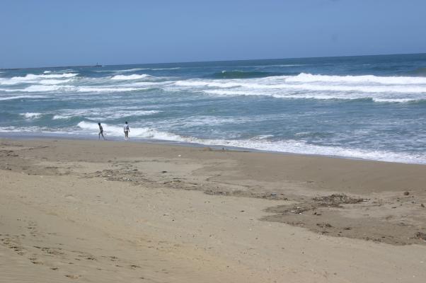 鳥取砂丘の海岸で遊ぶ若者