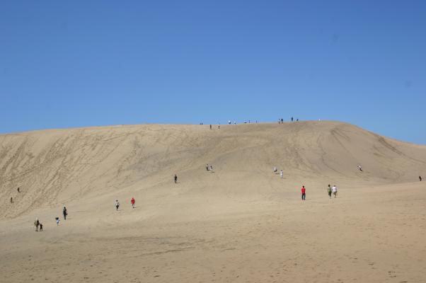 青空の鳥取砂丘を登る人たち