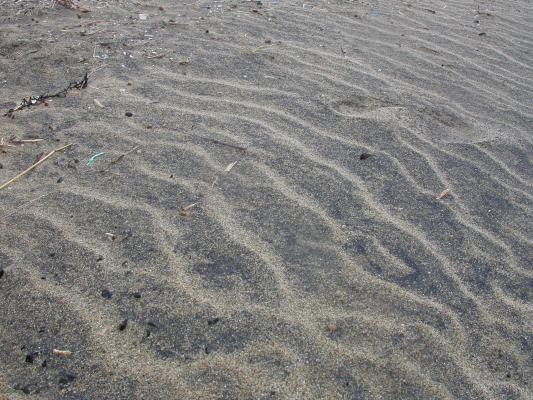 黒い砂も混じる砂浜