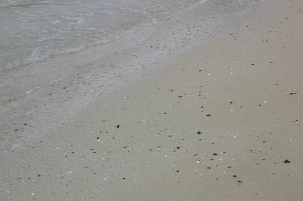 秋の浜辺で、波と戯れる小石や貝殻