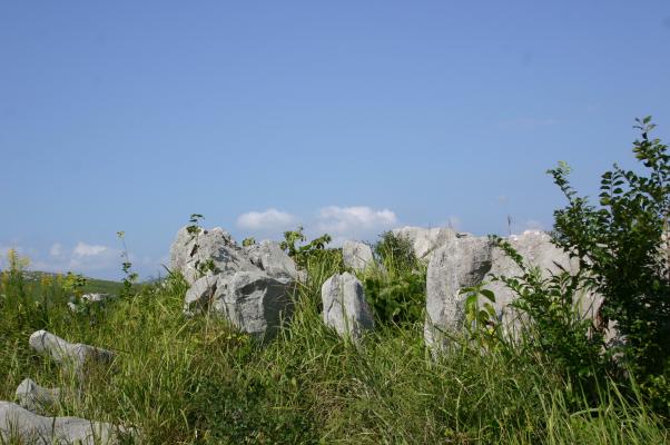 カルスト台地の野草に囲まれた、石灰岩の集落